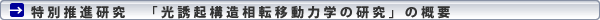 光誘起構造相転移動力学の研究